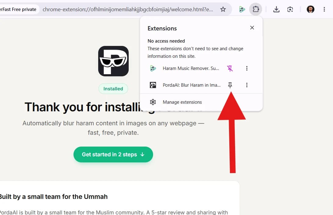 Pin Extension to Toolbar